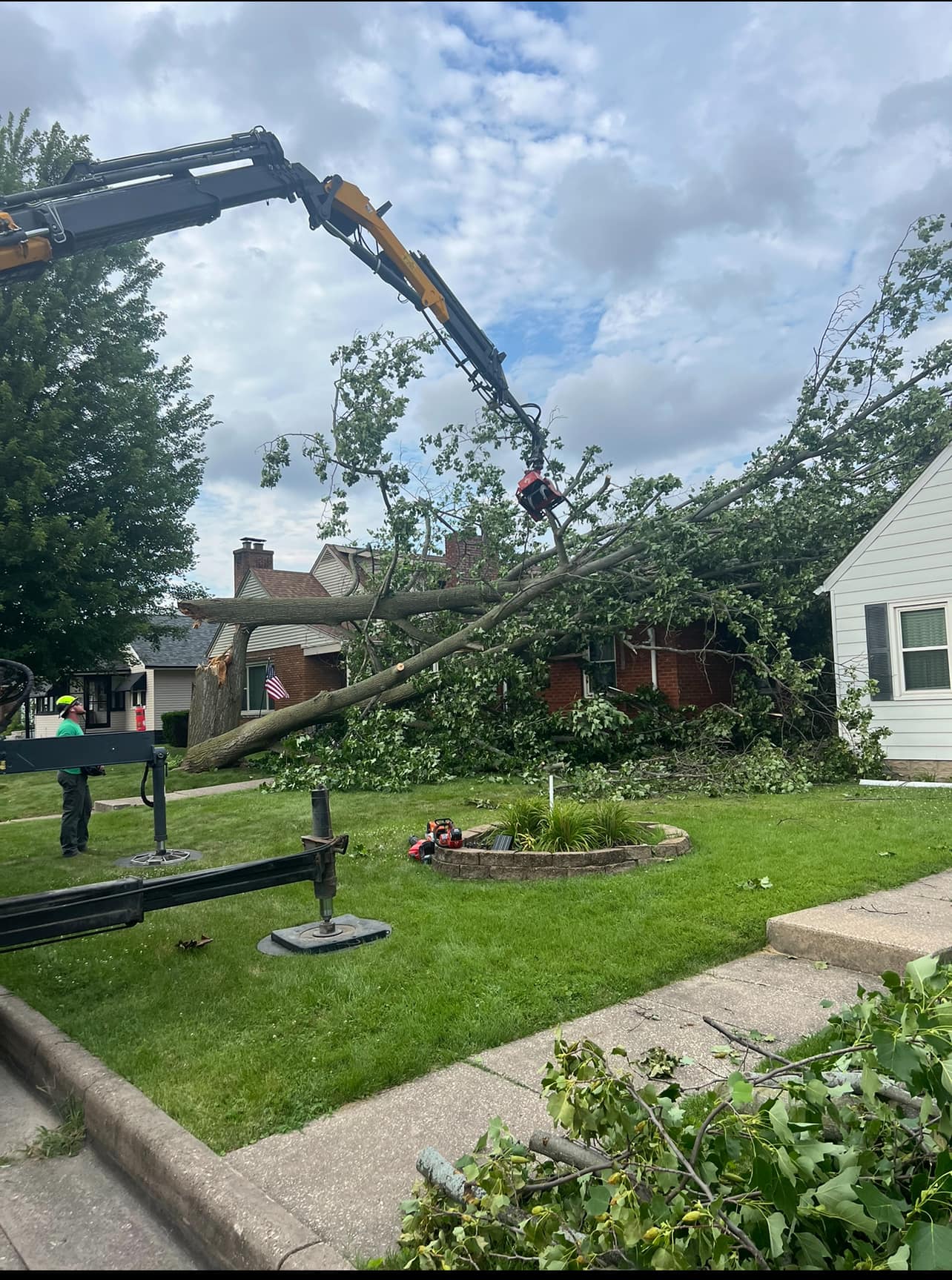 The Importance of Tree Removal for Durham Homeowners